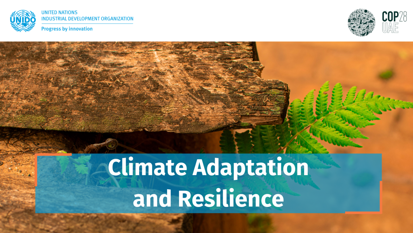 Climate Adaptation & Resilience | UNIDO